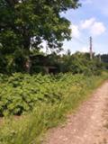 Продава КЪЩА, с. Стефаново, област Ловеч, снимка 2