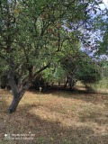 Продава ПАРЦЕЛ, с. Рударци, област Перник, снимка 8