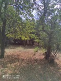 Продава ПАРЦЕЛ, област Перник, с. Рударци • 75000 € • 56713916 6
