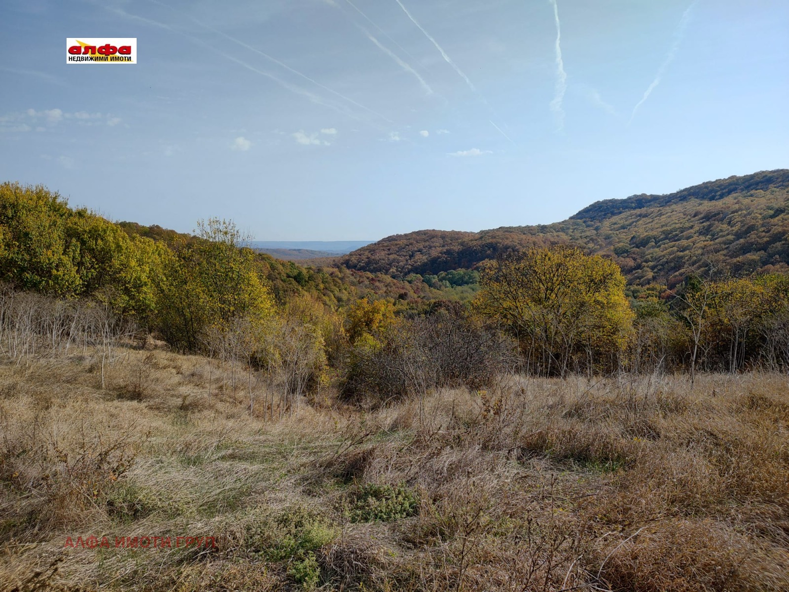 ������� ������ | Imot.bg � ����������� 4