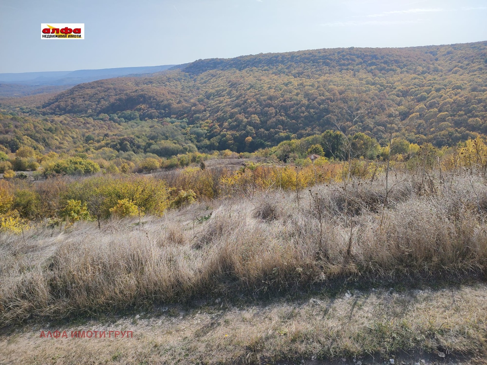 ������� ������ | Imot.bg � ����������� 6