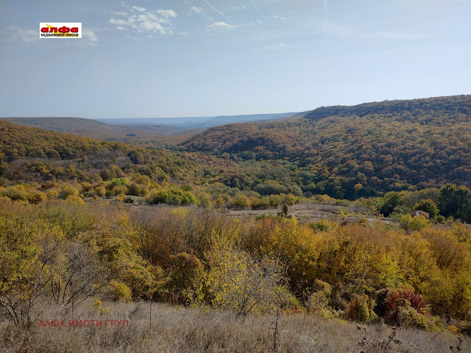 ������� ������ | Imot.bg � ����������� 7