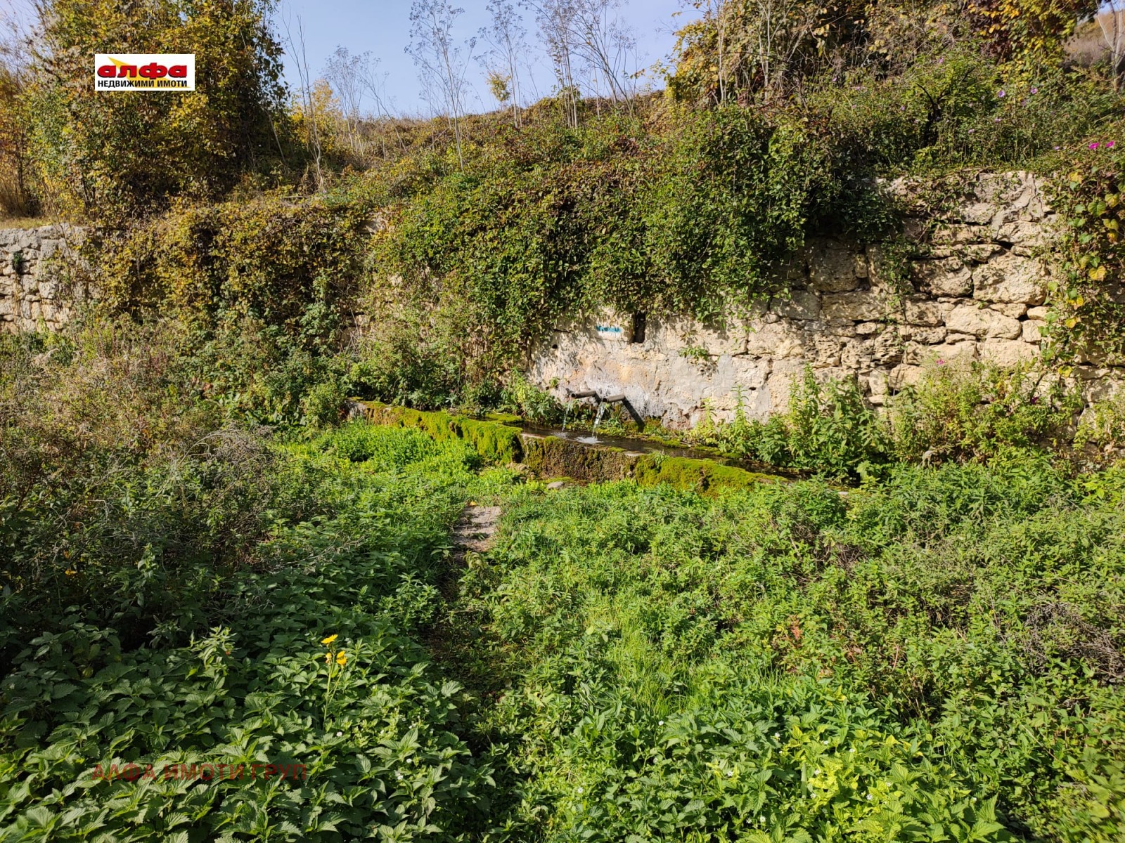 ������� ������ | Imot.bg � ����������� 5