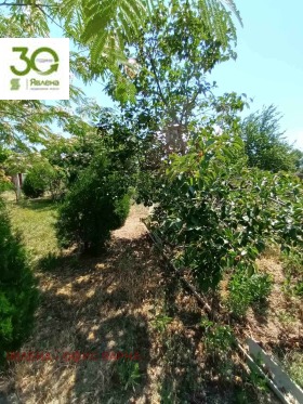 ������� ���� | Imot.bg � ����� ������ 10