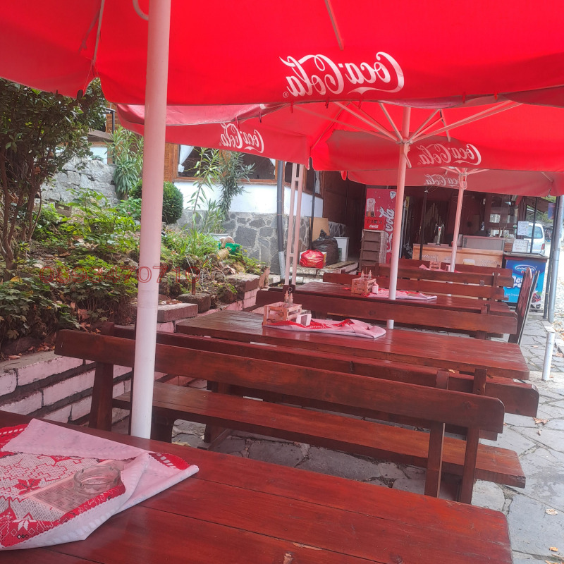 Продава ЗАВЕДЕНИЕ, с. Бачково, област Пловдив, снимка 5 - Заведения - 52928642