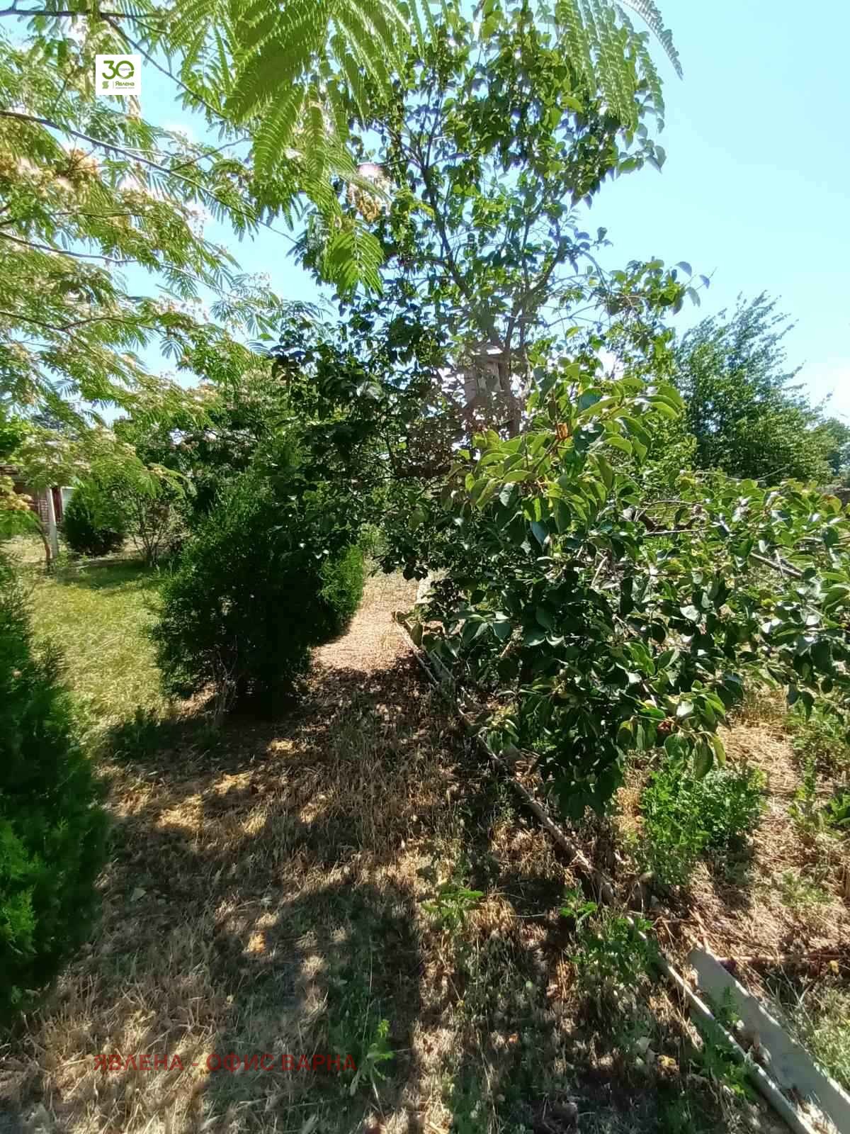 Продава КЪЩА, с. Ветрино, област Варна, снимка 10 - Къщи - 54565961