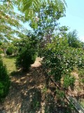 Продава КЪЩА, с. Ветрино, област Варна, снимка 10