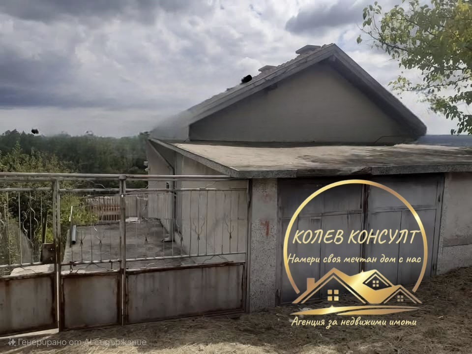 Продава ВИЛА, гр. Димитровград, област Хасково, снимка 2 - Вили - 53843669