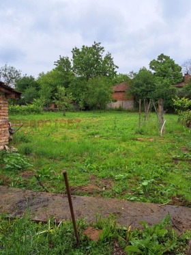 ������� ���� | Imot.bg � ����� ������ 5