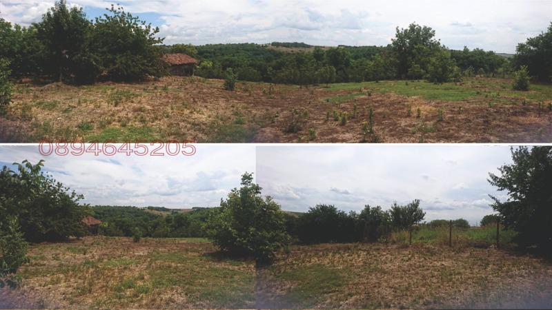 Продава ПАРЦЕЛ, гр. Алфатар, област Силистра, снимка 7 - Парцели - 53146961