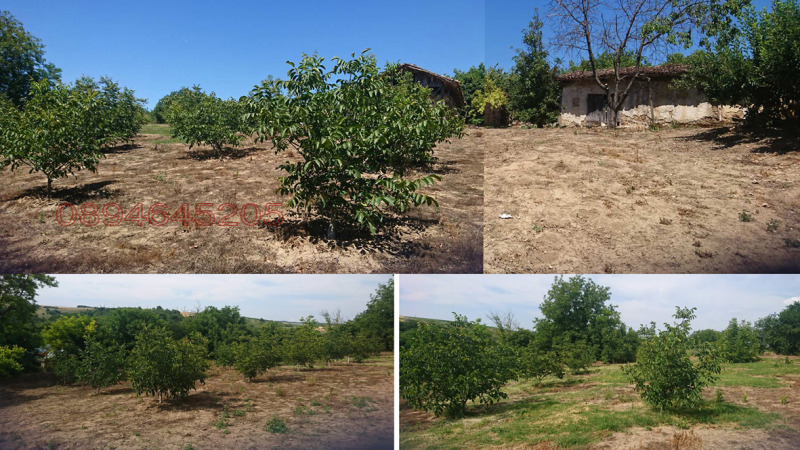 Продава ПАРЦЕЛ, гр. Алфатар, област Силистра, снимка 5 - Парцели - 53146961