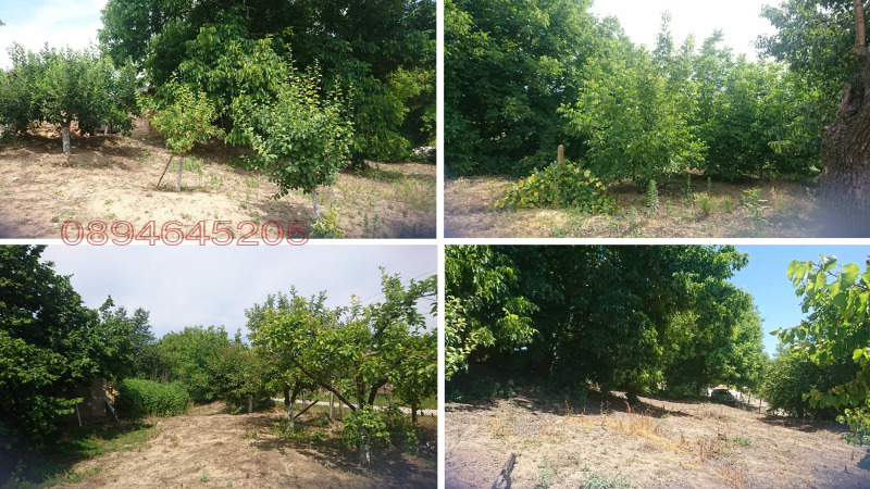 Продава ПАРЦЕЛ, гр. Алфатар, област Силистра, снимка 8 - Парцели - 53146961