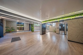 ����� ������� ����������,���� �����, �������