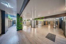 ����� ������� ����������,���� �����, �������