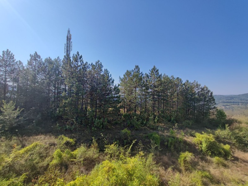 À venda  2 quartos Veliko Tarnovo , Buzludja , 64 m² | 21789889 - imagem [14]