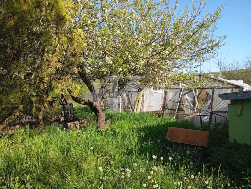 Till salu  Hus region Dobrich , Bogdan , 70 kvm | 22463364 - bild [9]