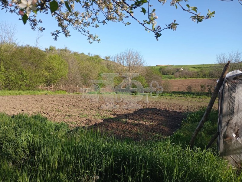 Till salu  Hus region Dobrich , Bogdan , 70 kvm | 22463364 - bild [11]