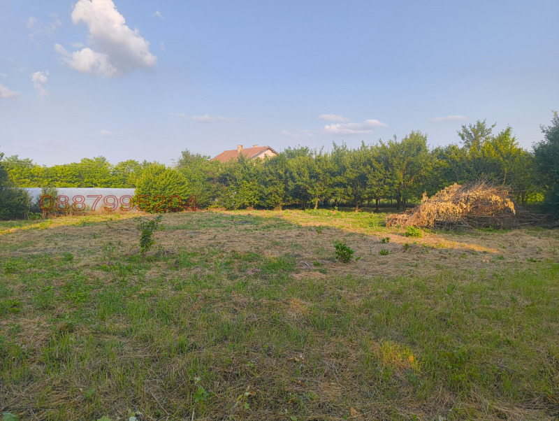 Продава КЪЩА, с. Кардам, област Търговище, снимка 4 - Къщи - 52784173