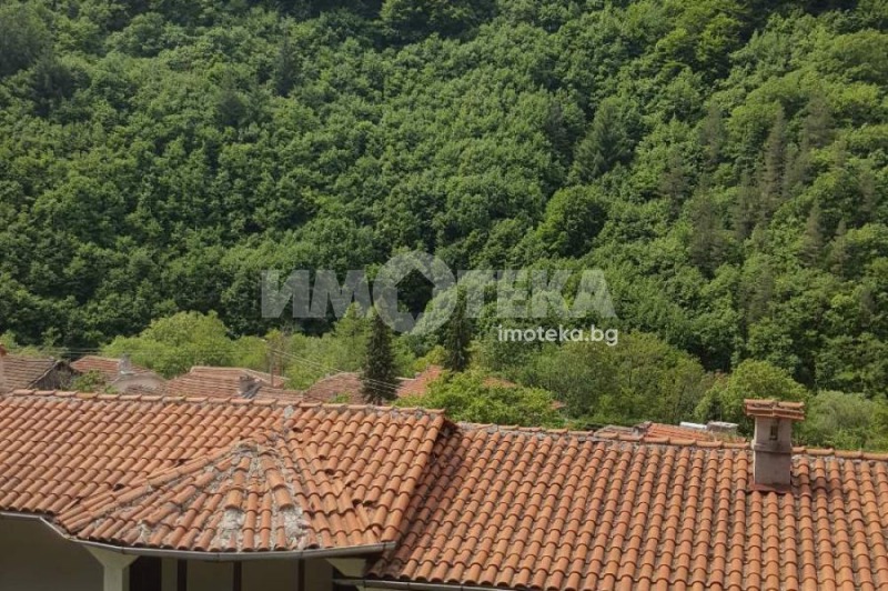 Продава  Хотел област Кюстендил , с. Пастра , 1151 кв.м | 67630806 - изображение [6]