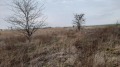 Продава ПАРЦЕЛ, област Пловдив, гр. Асеновград • 12000 € • 60941652 — Holmes.bg