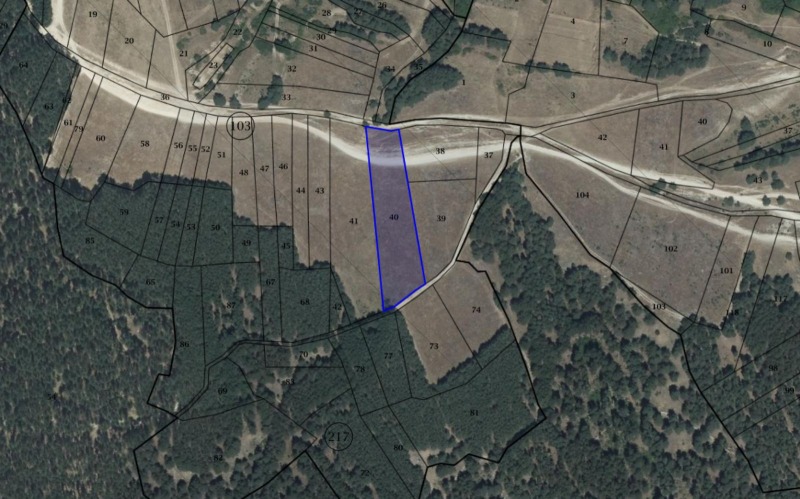 Продава ПАРЦЕЛ в област Пазарджик, гр. Велинград - 4243 кв.м / 38 187 € » 74 687.28 лв., ЛИА ВИП ХАУС ООД