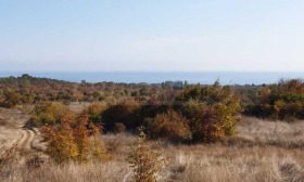 ������� ������ | Imot.bg � ����� ������ 3