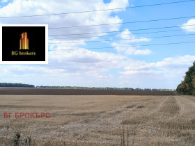 На продаж Земля
