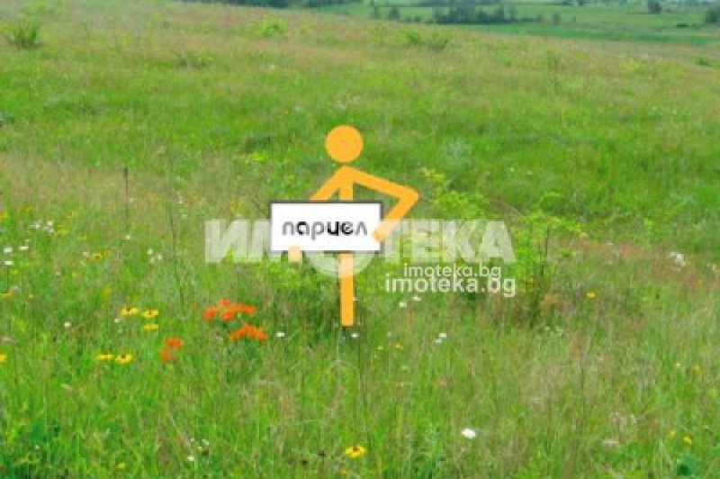 In vendita  Complotto regione Dobrič , Rogachevo , 7000 mq | 22796591