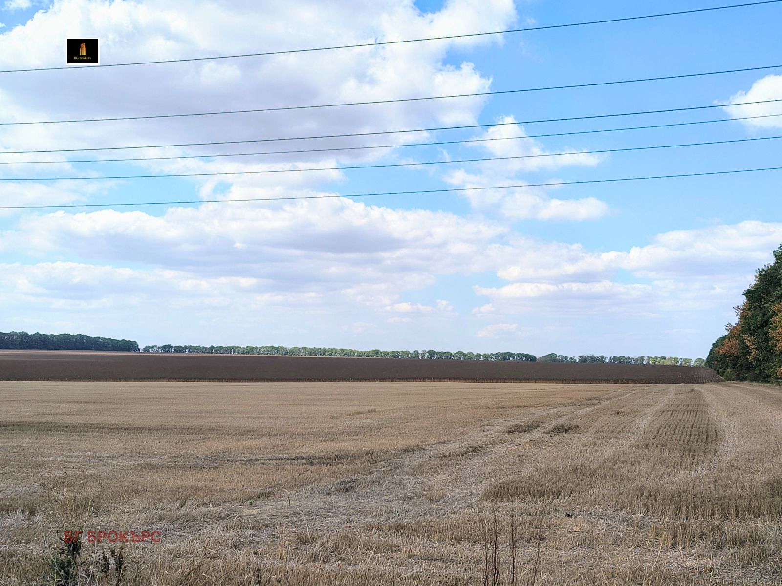 Продава ЗЕМЕДЕЛСКА ЗЕМЯ, гр. Генерал Тошево, област Добрич