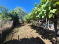 Продава КЪЩА, област Велико Търново, с. Горско ново село • 24000 € • 32399881 — Holmes.bg