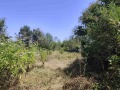 Продава ПАРЦЕЛ, гр. Добрич, в.з. Лозята, снимка 3