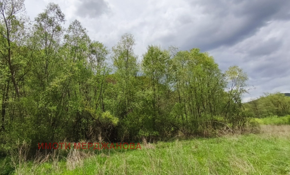 Продава ПАРЦЕЛ, с. Селце, област Стара Загора, снимка 5 - Парцели - 54910584