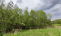 Продава ПАРЦЕЛ, с. Селце, област Стара Загора, снимка 5