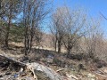 Продава ПАРЦЕЛ, град София, с. Бистрица • 458000 € • 97849220 — Holmes.bg