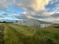 Продава  Земеделска земя област София , с. Войнеговци , 3 дка | 53243368 - изображение [2]
