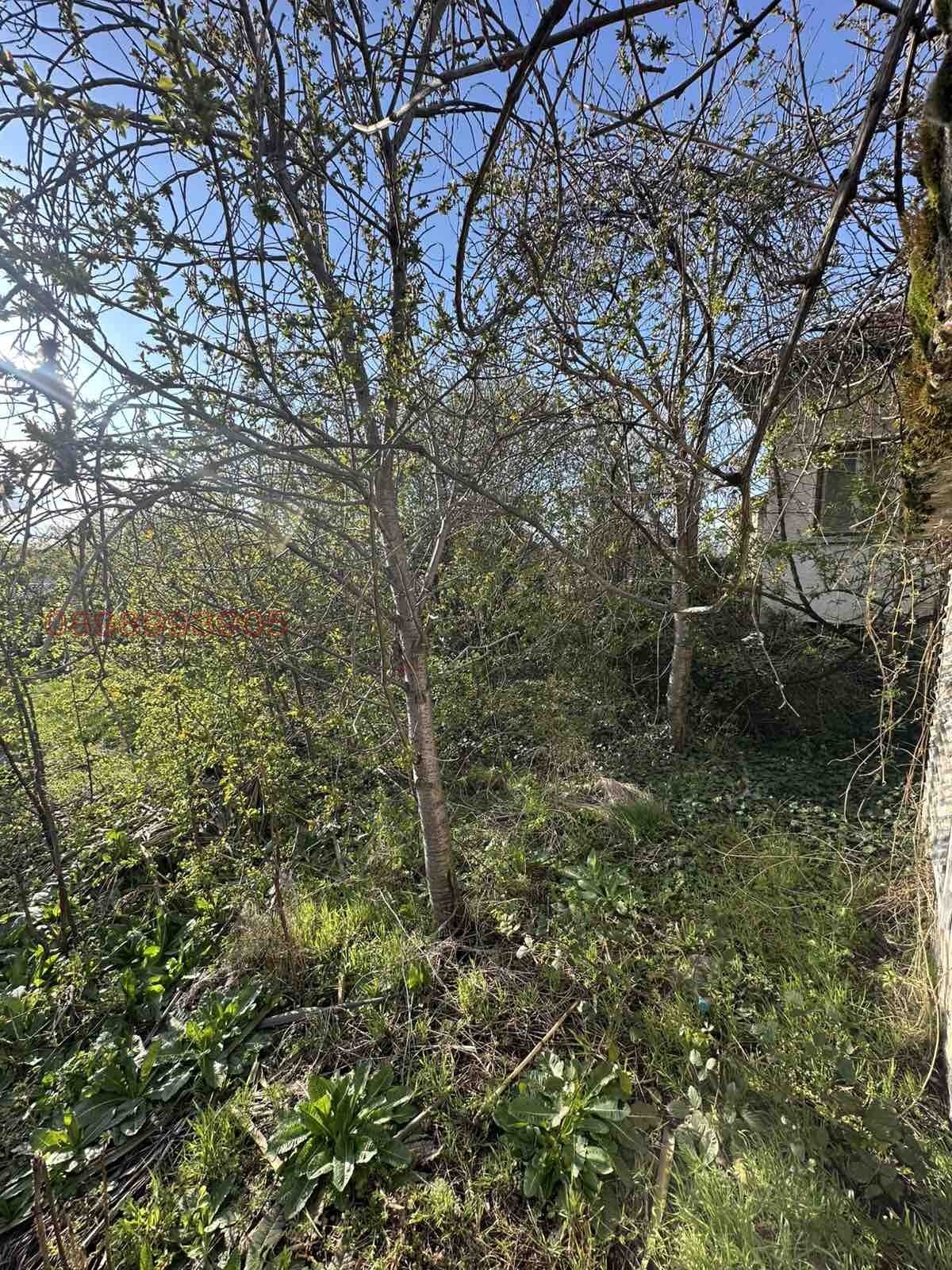 ������� ���� | Imot.bg � ����������� 3