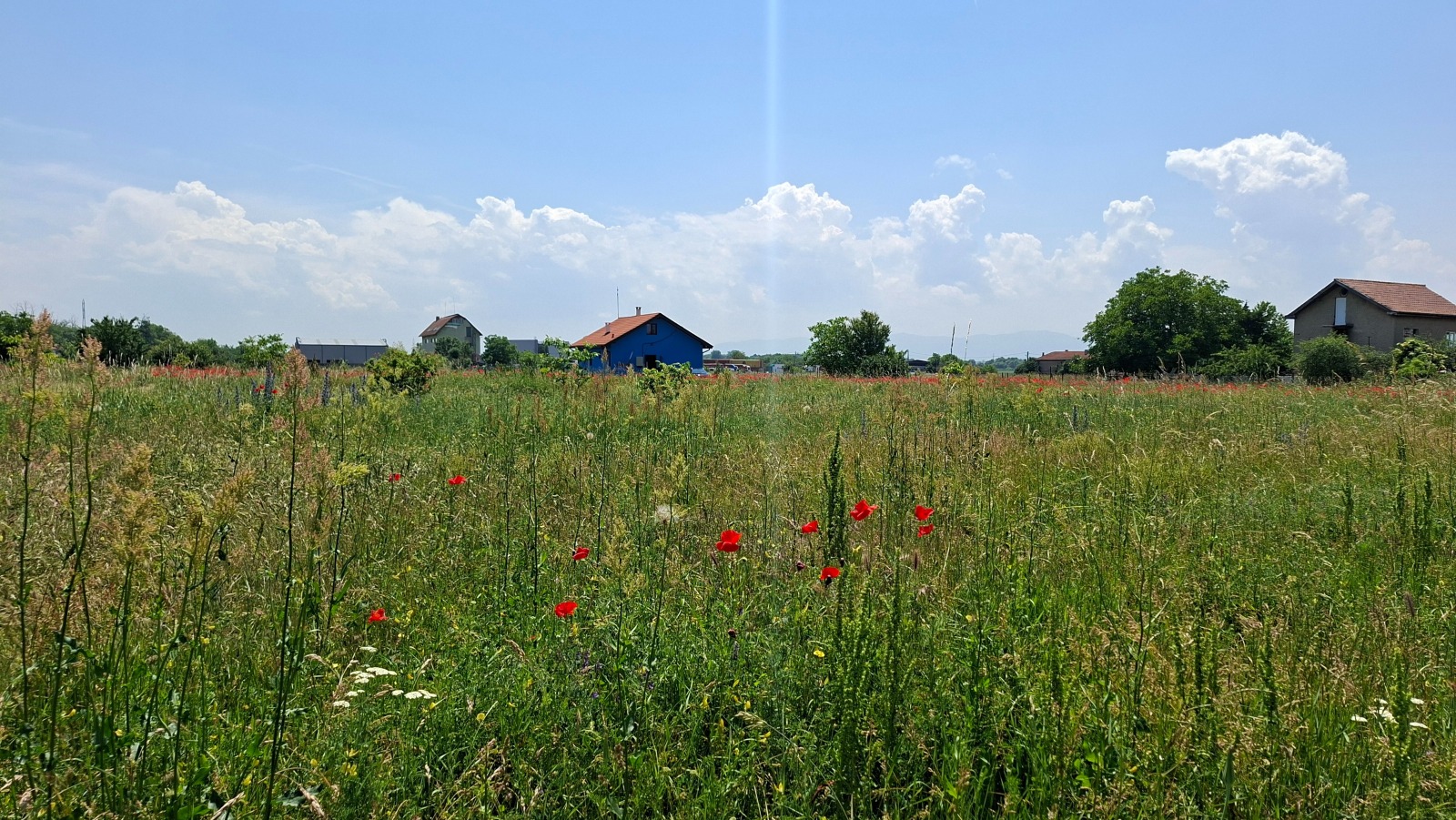 ������� ������ | Imot.bg � ����������� 5
