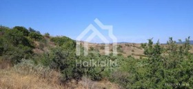 ������� ������ | Imot.bg � ����� ������ 8
