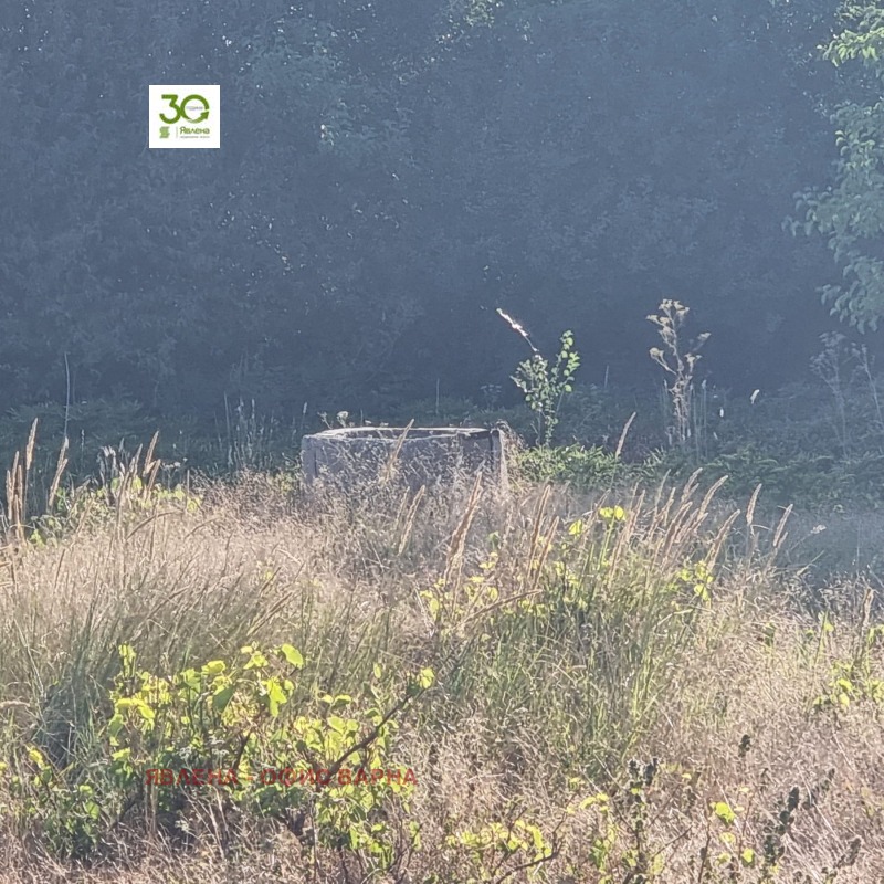 Продава КЪЩА, с. Неофит Рилски, област Варна, снимка 11 - Къщи - 52152144