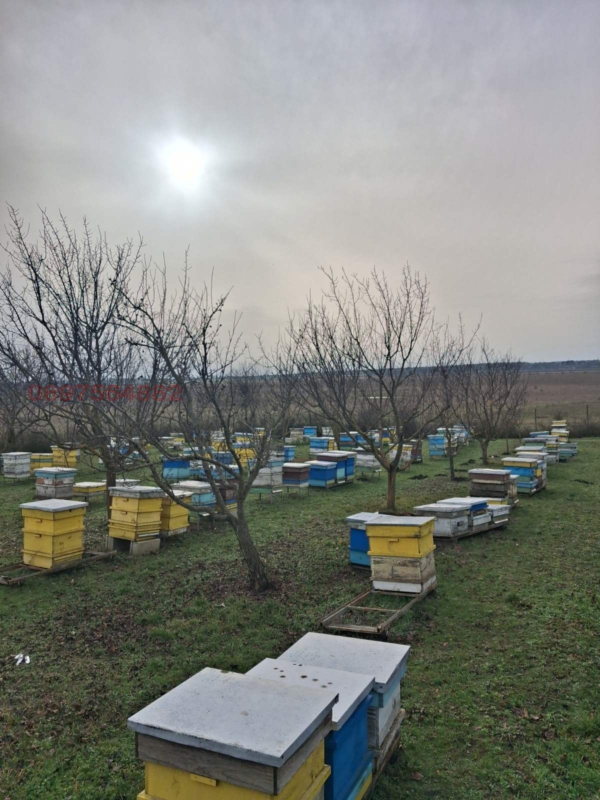 Продава ПАРЦЕЛ, с. Пленимир, област Добрич, снимка 3 - Парцели - 53934907