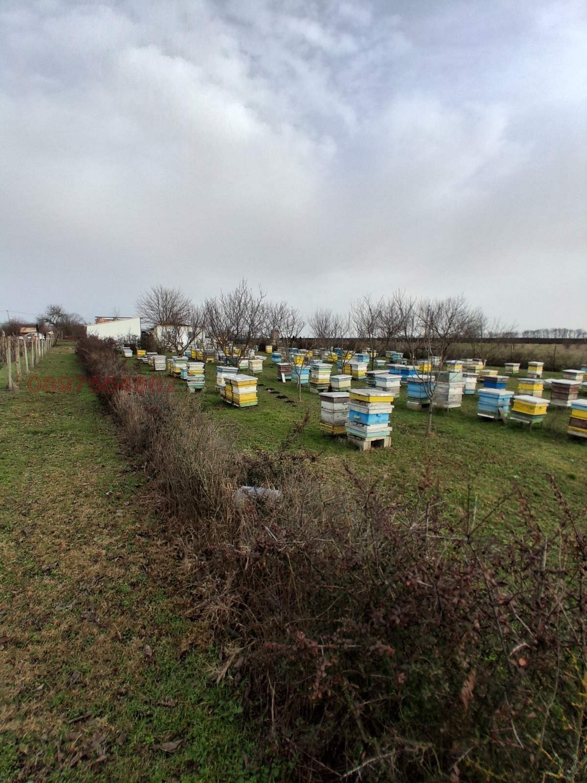 Продава ПАРЦЕЛ, с. Пленимир, област Добрич, снимка 4 - Парцели - 53934907