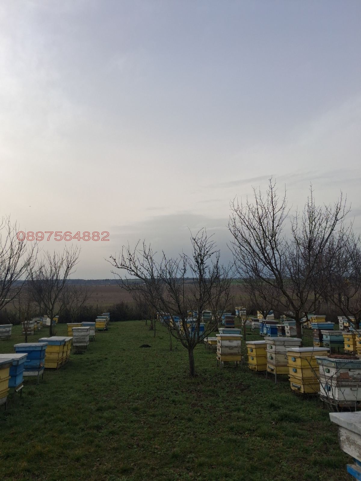 Продава ПАРЦЕЛ, с. Пленимир, област Добрич, снимка 2 - Парцели - 53934907