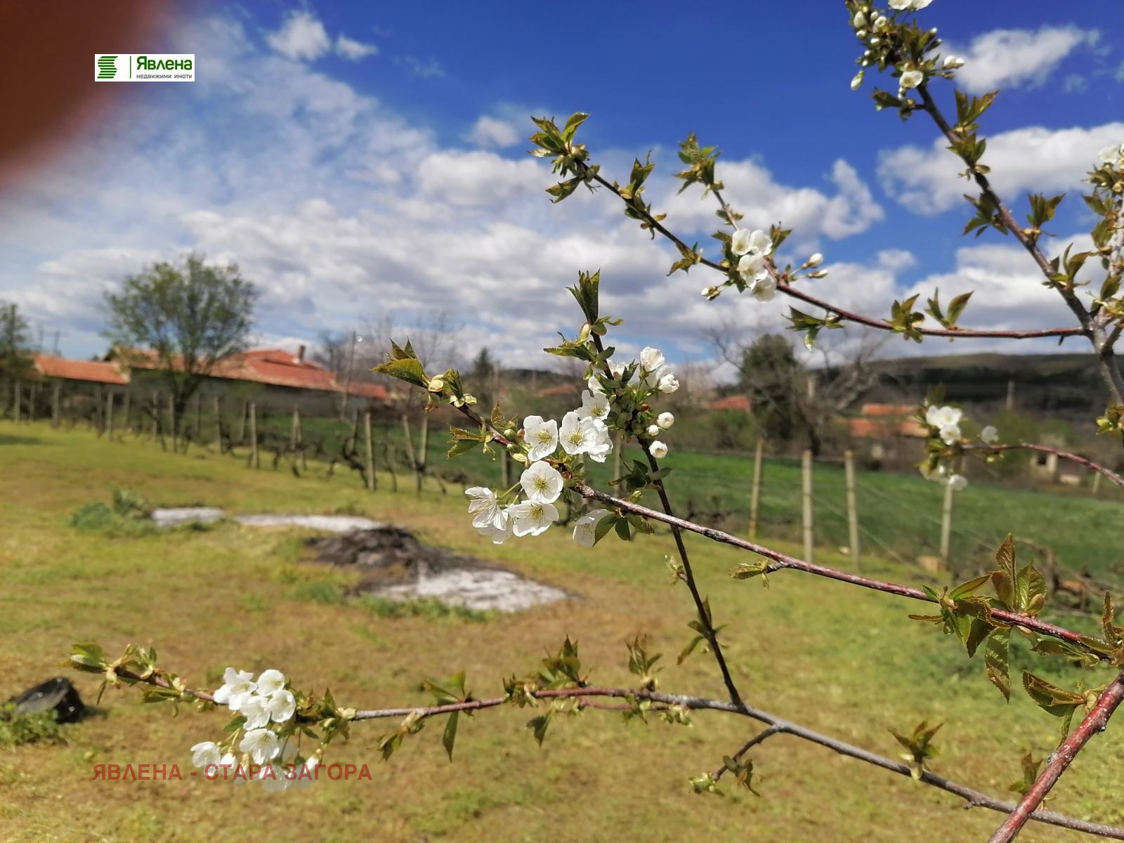 ������� ������ | Imot.bg � ����������� 3