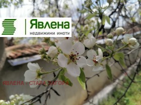 ����� ������� ������,�. �������, ������ ����� ������