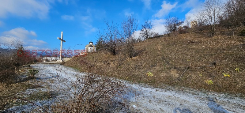 Продава ПАРЦЕЛ, гр. Батак, област Пазарджик, снимка 2 - Парцели - 52783611