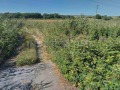 Продава ПАРЦЕЛ, гр. Аксаково, област Варна, снимка 3