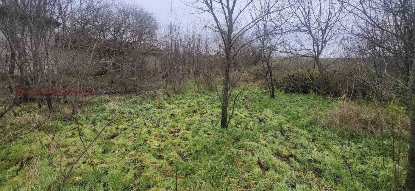 ������� ������ | Imot.bg � ����������� 1