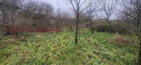 ������ ������� ������