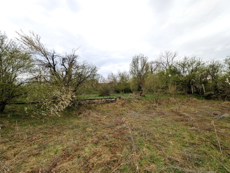 Продава  Къща област Велико Търново , с. Ново село , 200 кв.м | 87920599 - изображение [10]