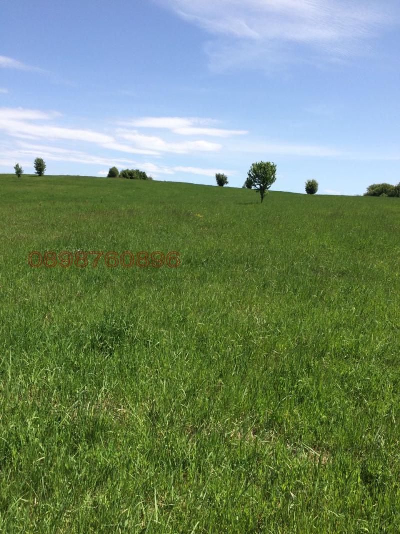 Продава ЗЕМЕДЕЛСКА ЗЕМЯ, гр. Трявна, област Габрово, снимка 3 - Земеделска земя - 52786252